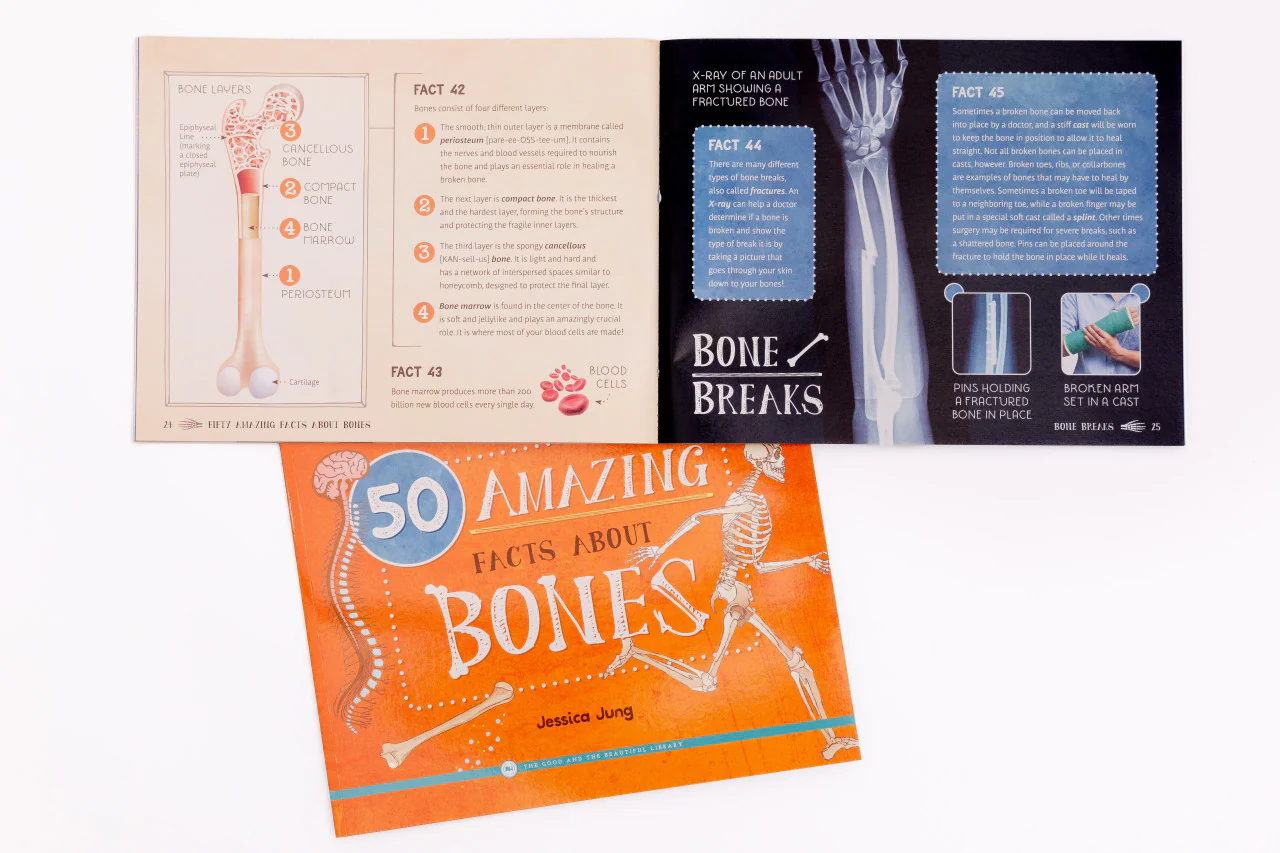 50 Amazing Facts About Bones: by Jessica Jung - Image 2