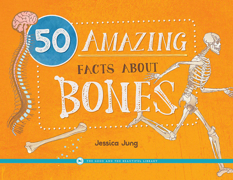 50 Amazing Facts About Bones: by Jessica Jung - Image 4
