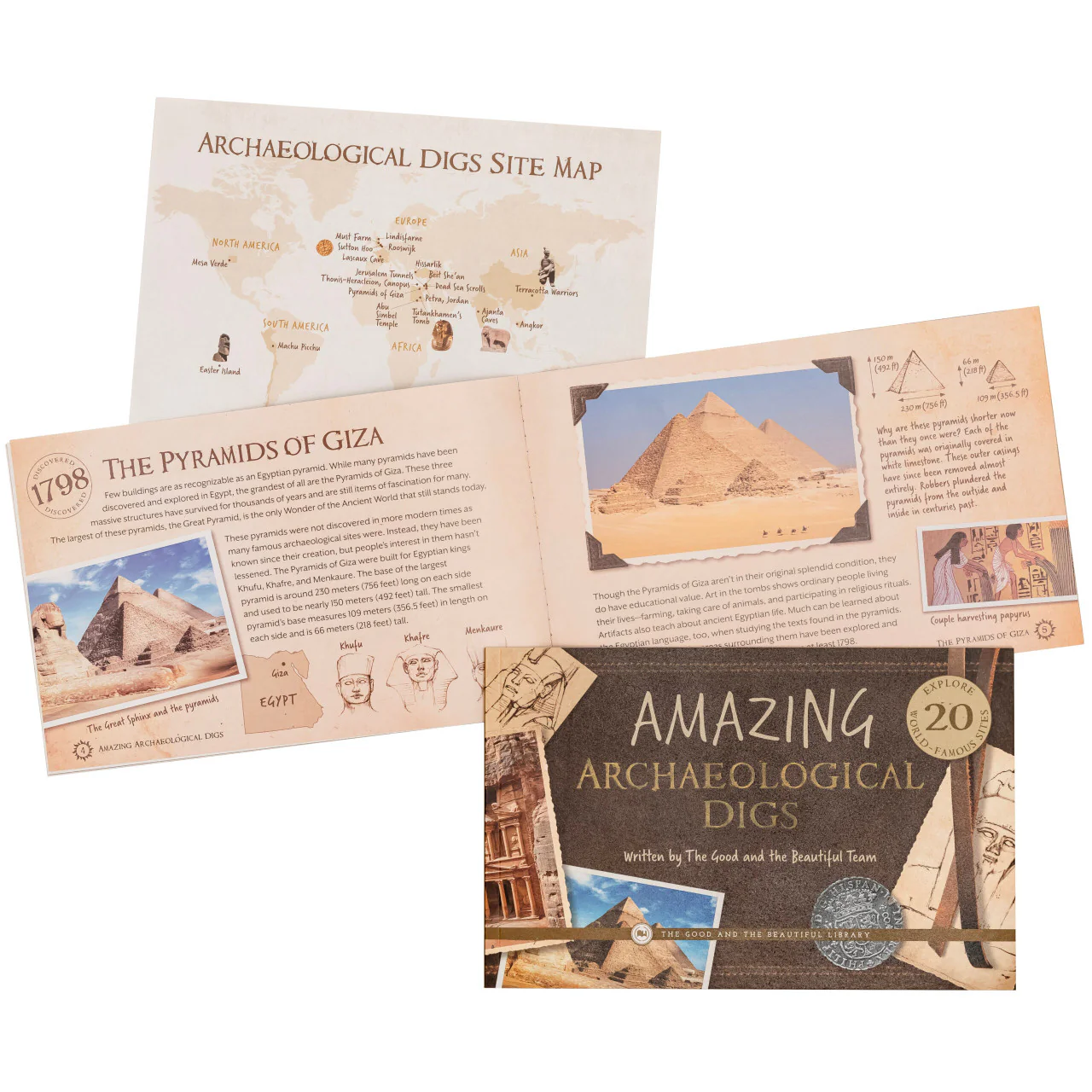 Amazing Archaeological Digs: Paleontology Grades 7-8 Extension - Image 2