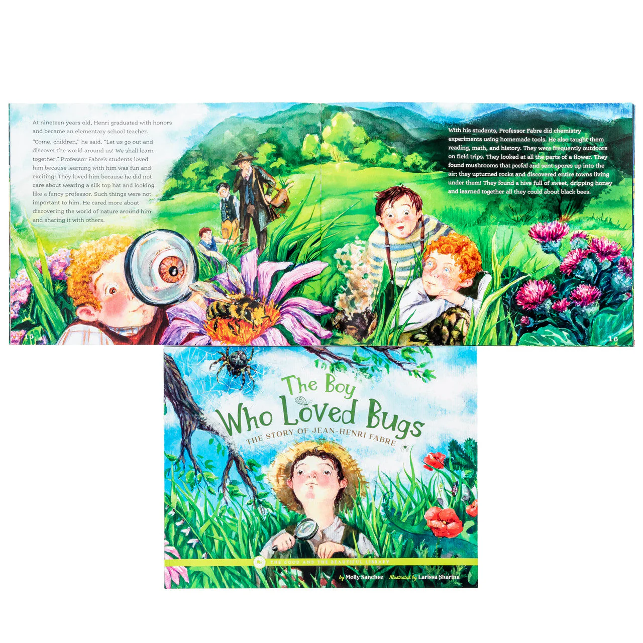 Arthropods Read-Aloud Book Pack - Image 2