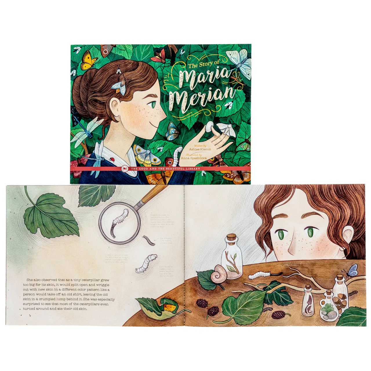 Arthropods Read-Aloud Book Pack - Image 3