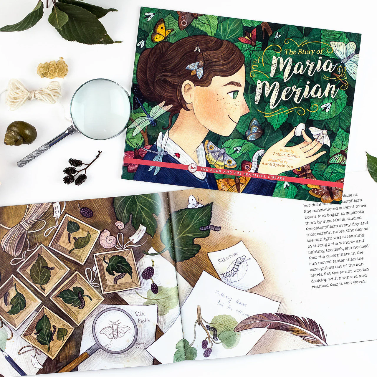 Arthropods Read-Aloud Book Pack - Image 6