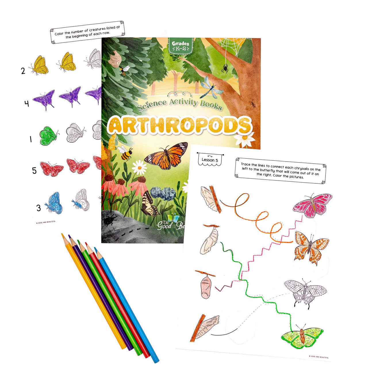 Arthropods: Science Activity Book - Image 3