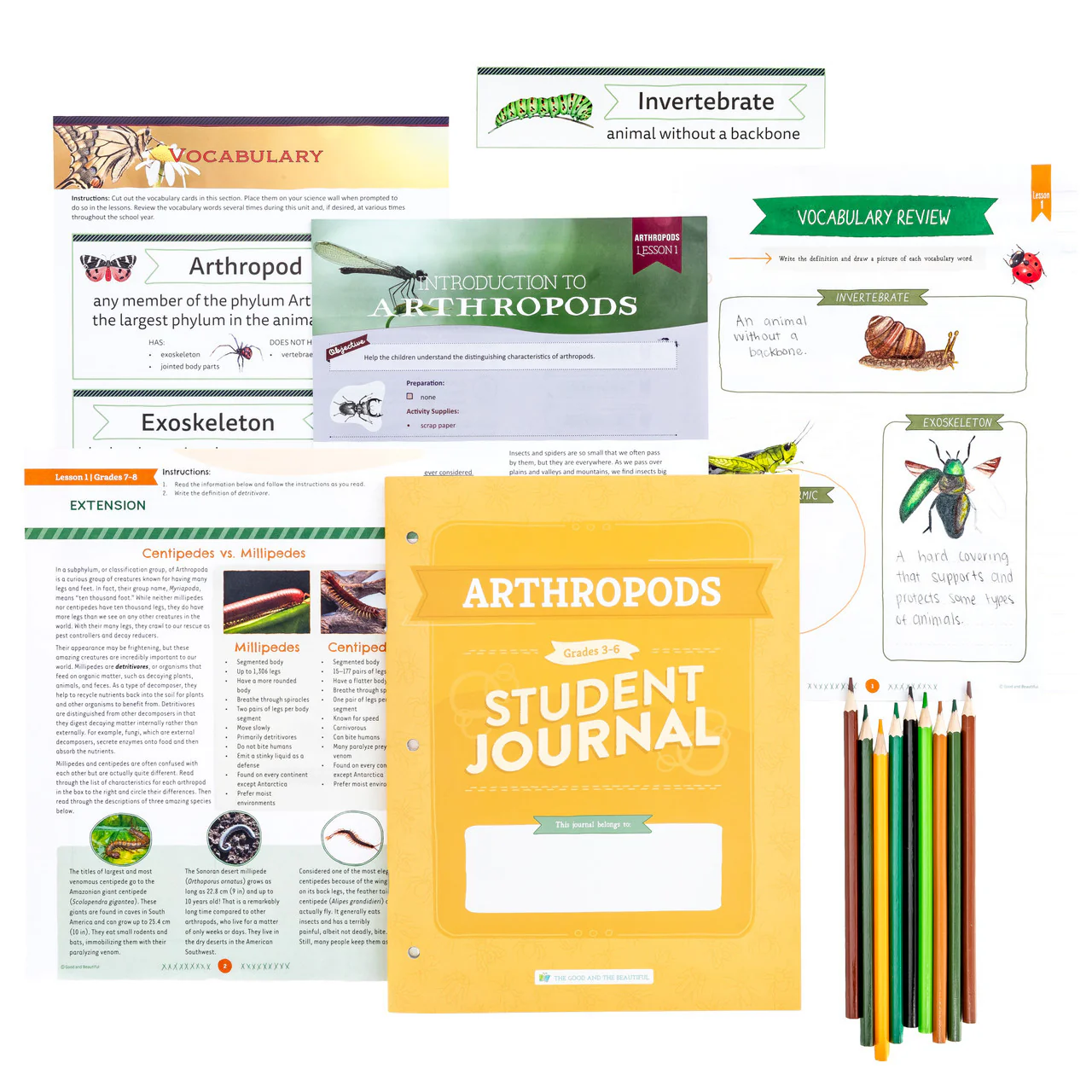 Arthropods: Student Journal Grades 3-6: One Per Student - Image 3