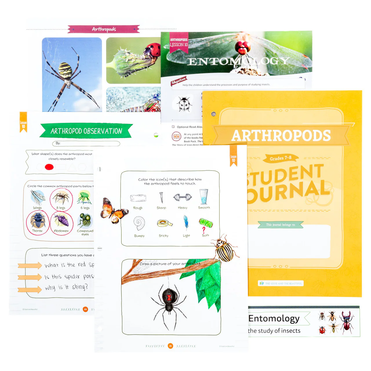 Arthropods: Student Journal Grades 7-8: One Per Student - Image 3