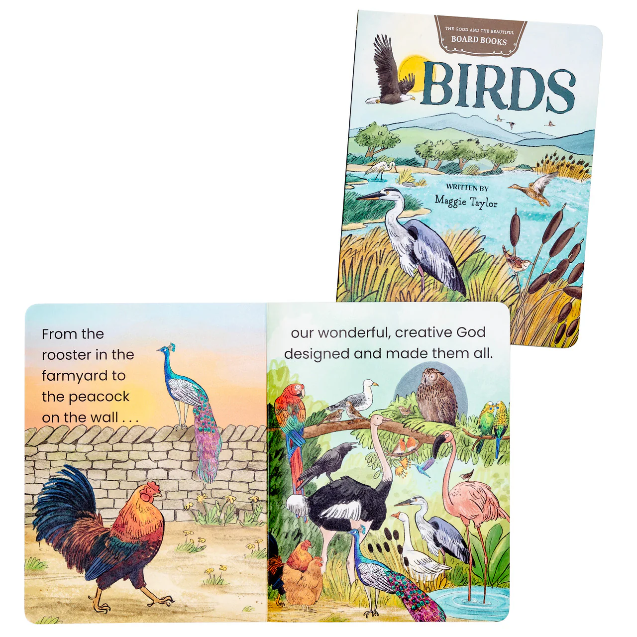 Birds Board Book: by Maggie Taylor - Image 3