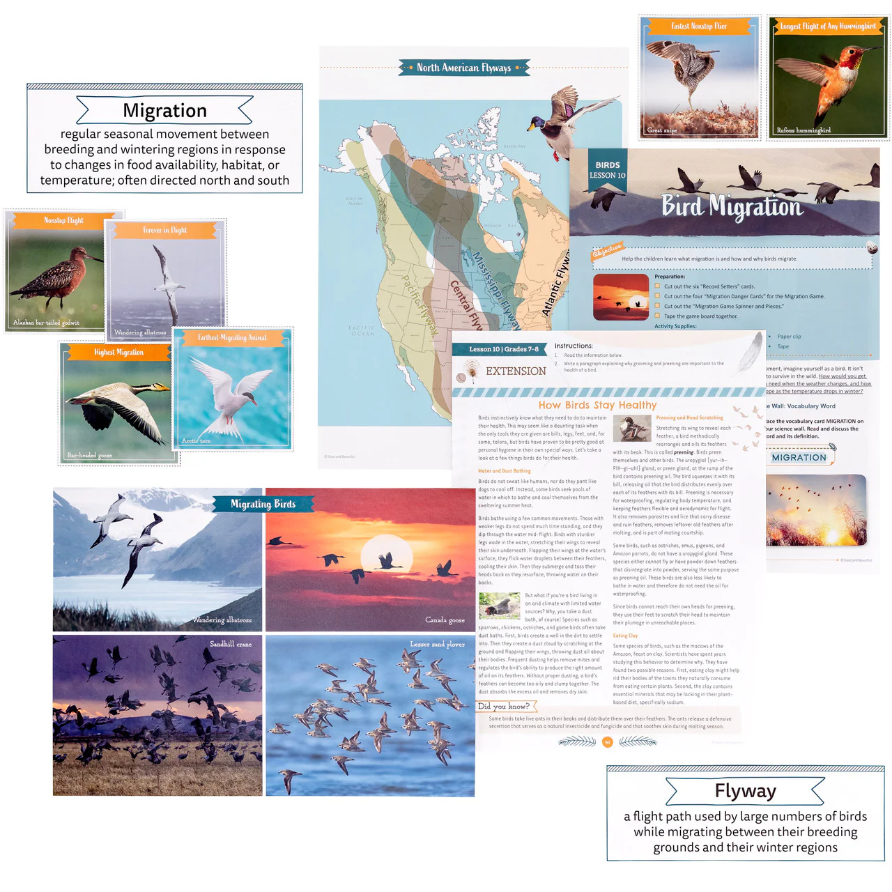 Birds: Course Book: One Per Family - Image 10