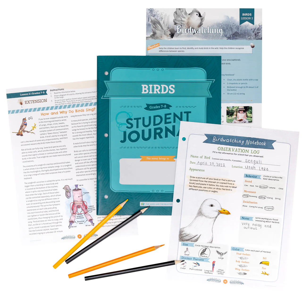 Birds: Course Book: One Per Family - Image 12