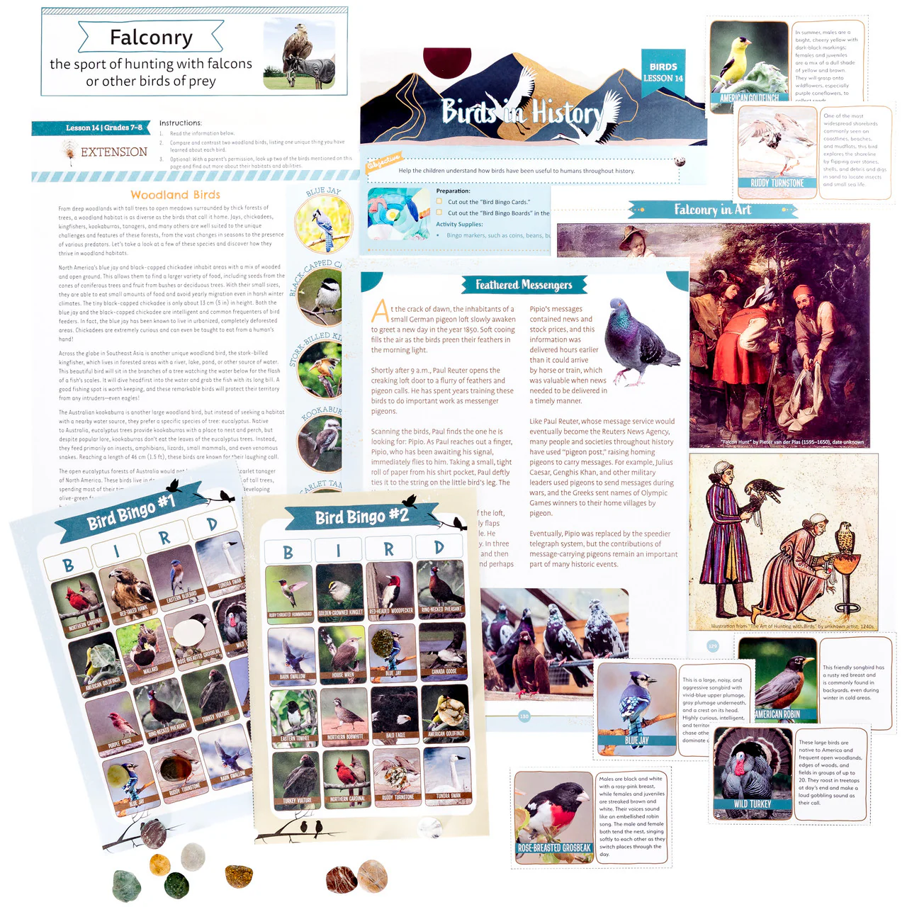 Birds: Course Book: One Per Family - Image 16