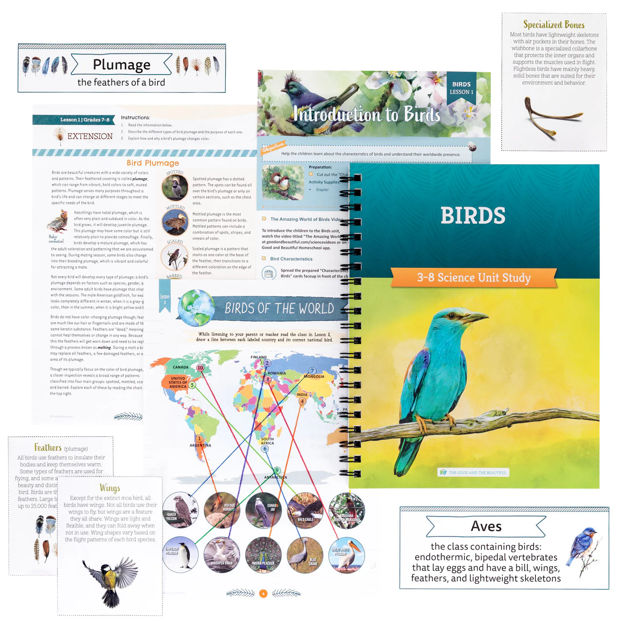 Birds: Course Book: One Per Family - Image 3