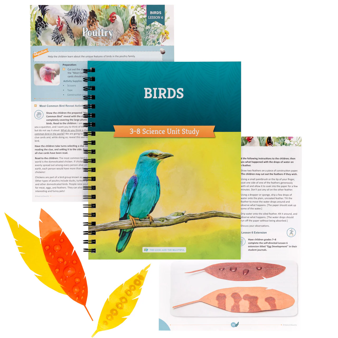 Birds: Course Book: One Per Family - Image 4