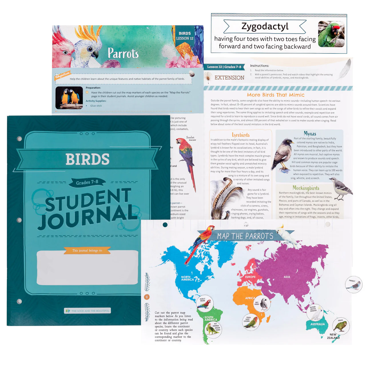 Birds: Course Book: One Per Family - Image 5