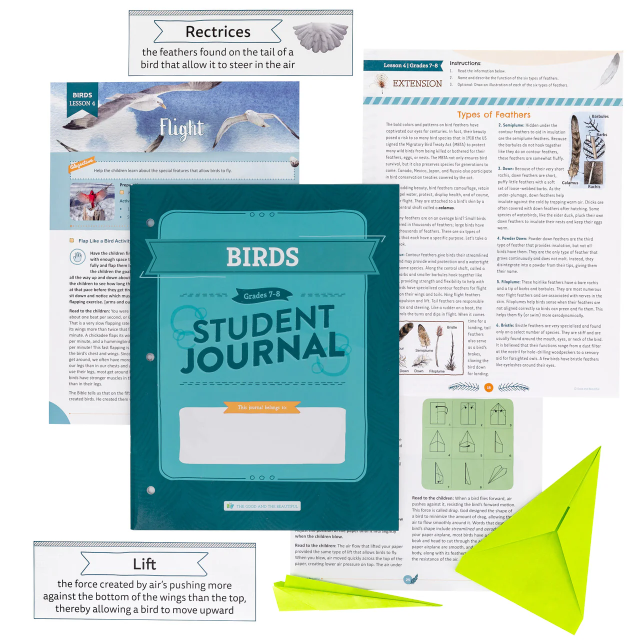 Birds: Course Book: One Per Family - Image 6