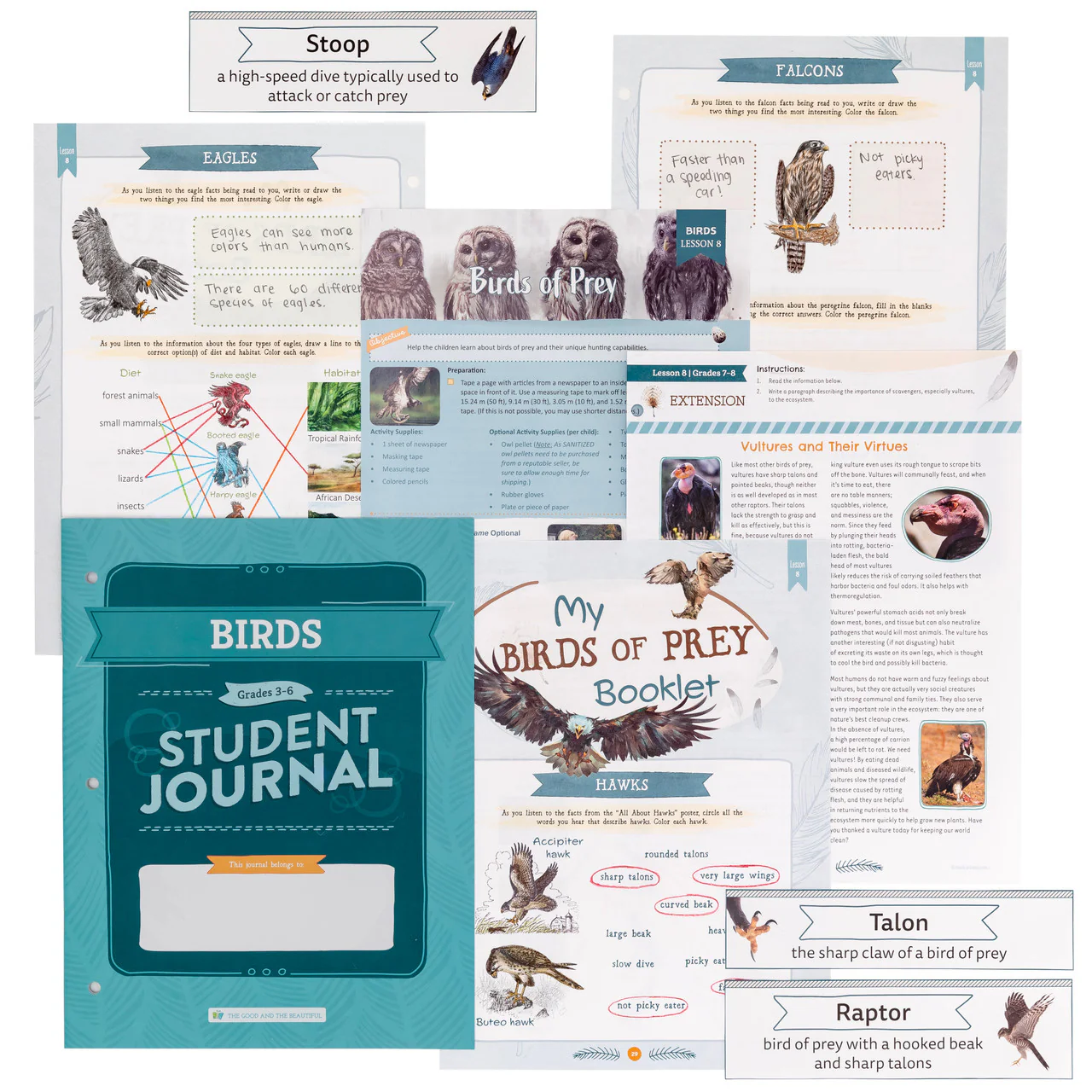 Birds: Course Book: One Per Family - Image 8