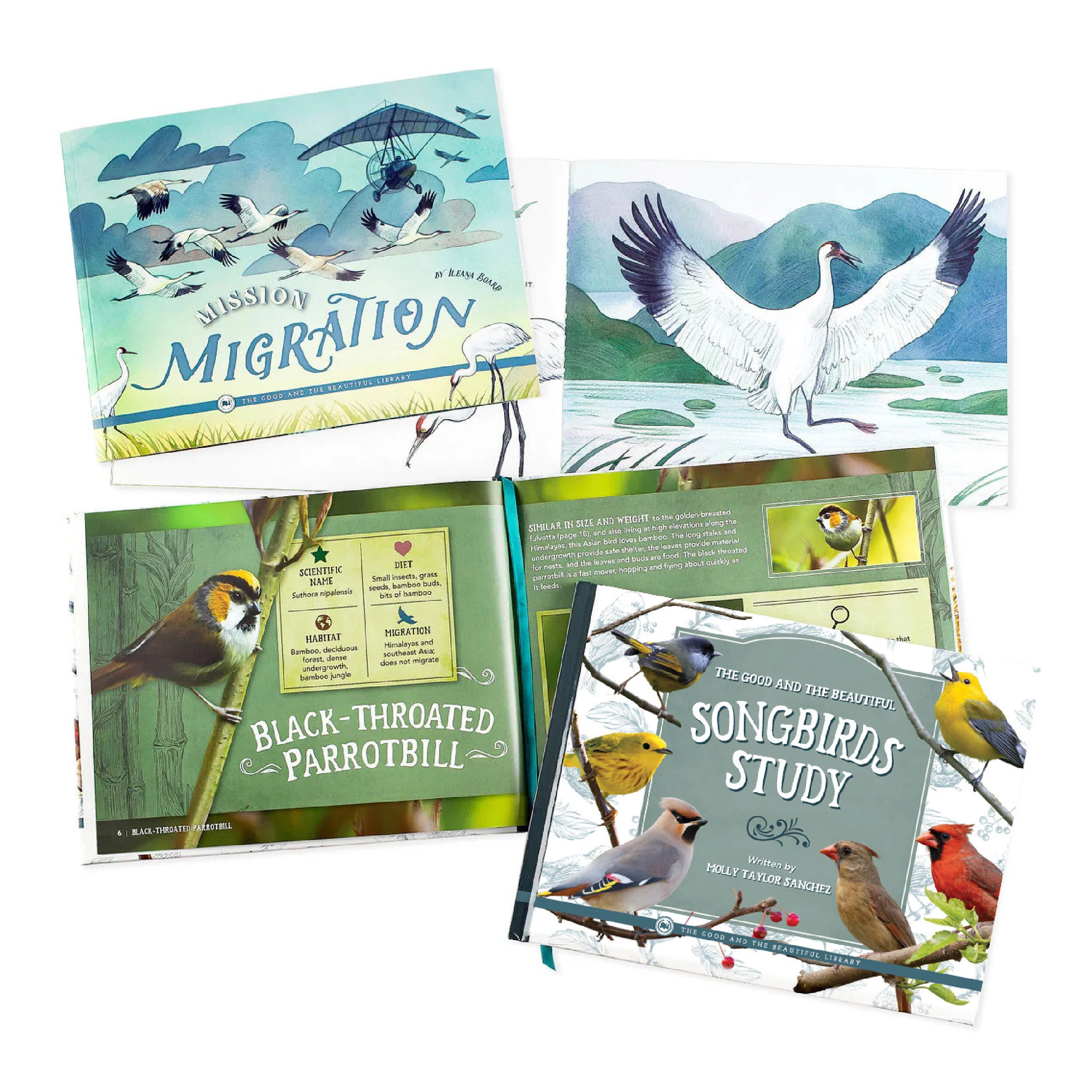 Birds Read-Aloud Book Pack - Image 2