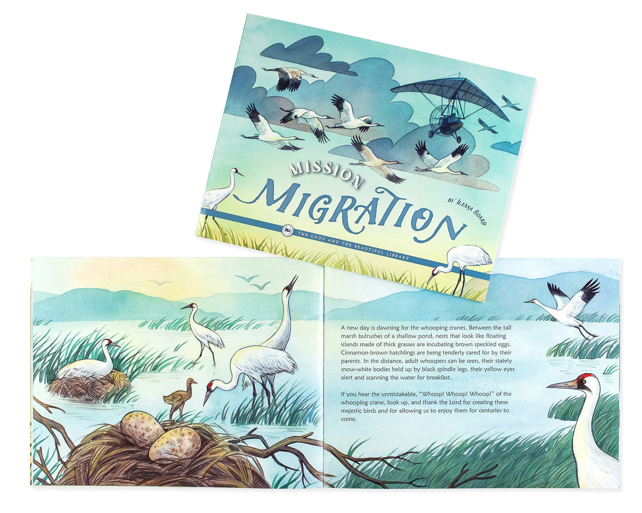 Birds Read-Aloud Book Pack - Image 3