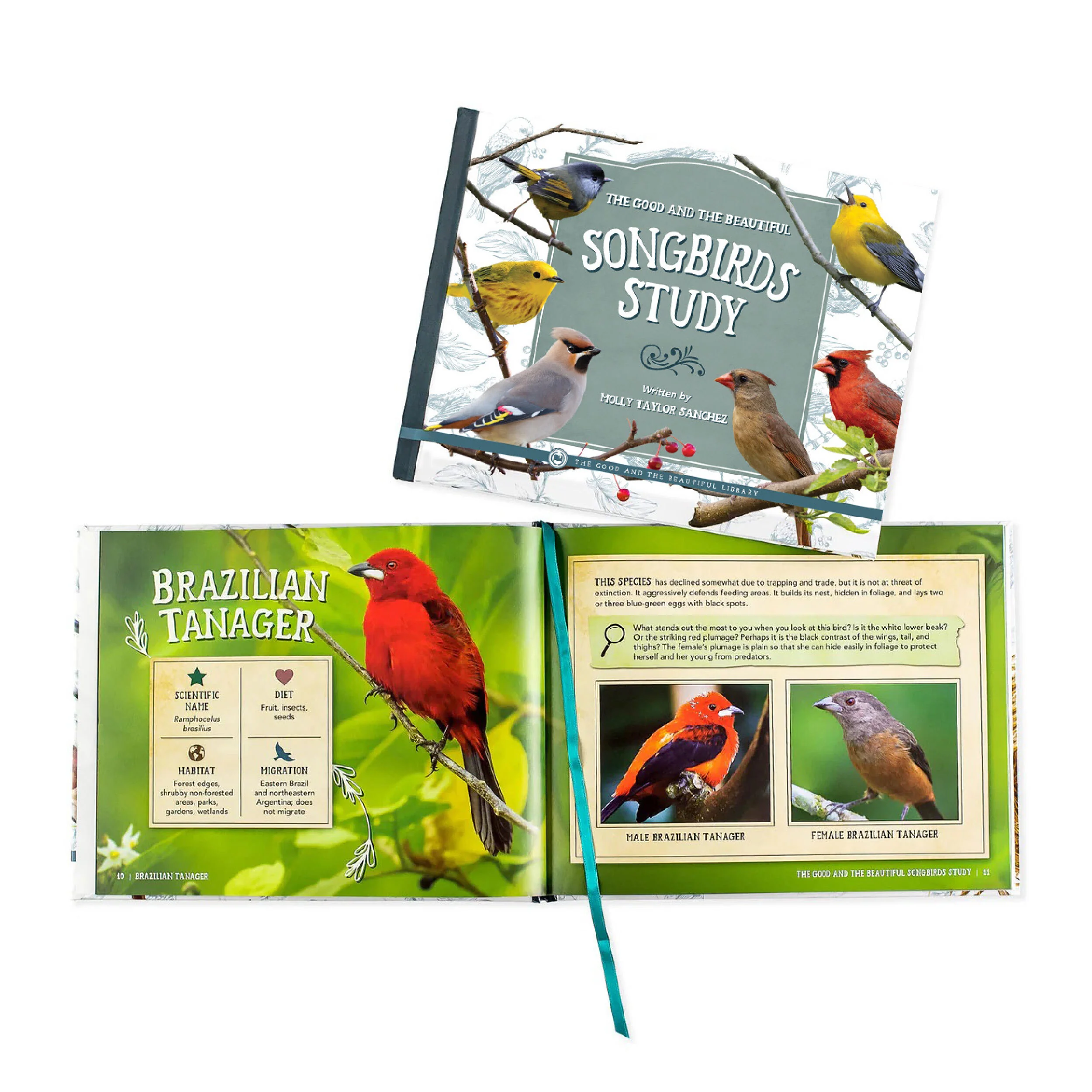 Birds Read-Aloud Book Pack - Image 4