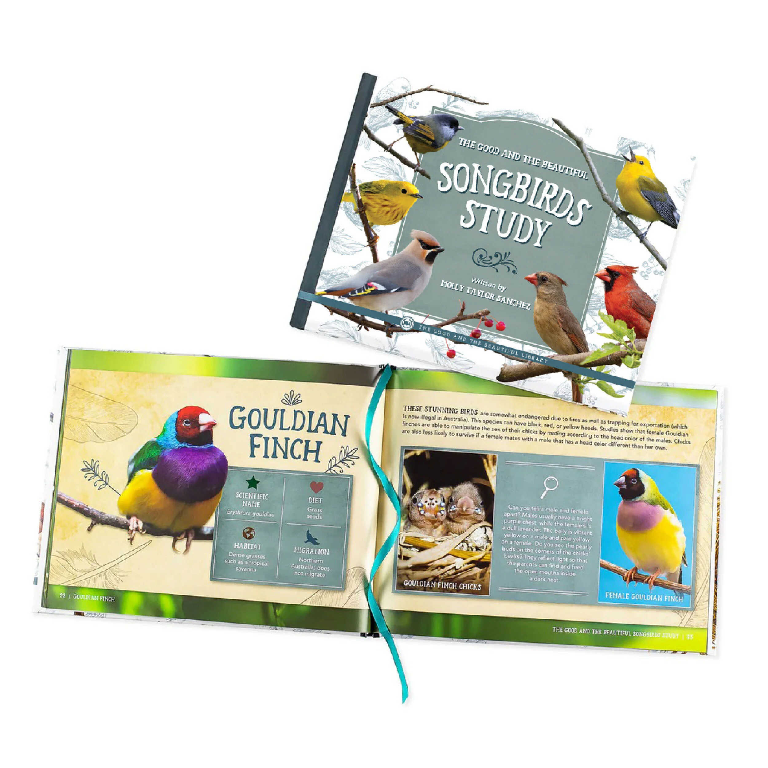 Birds Read-Aloud Book Pack - Image 8