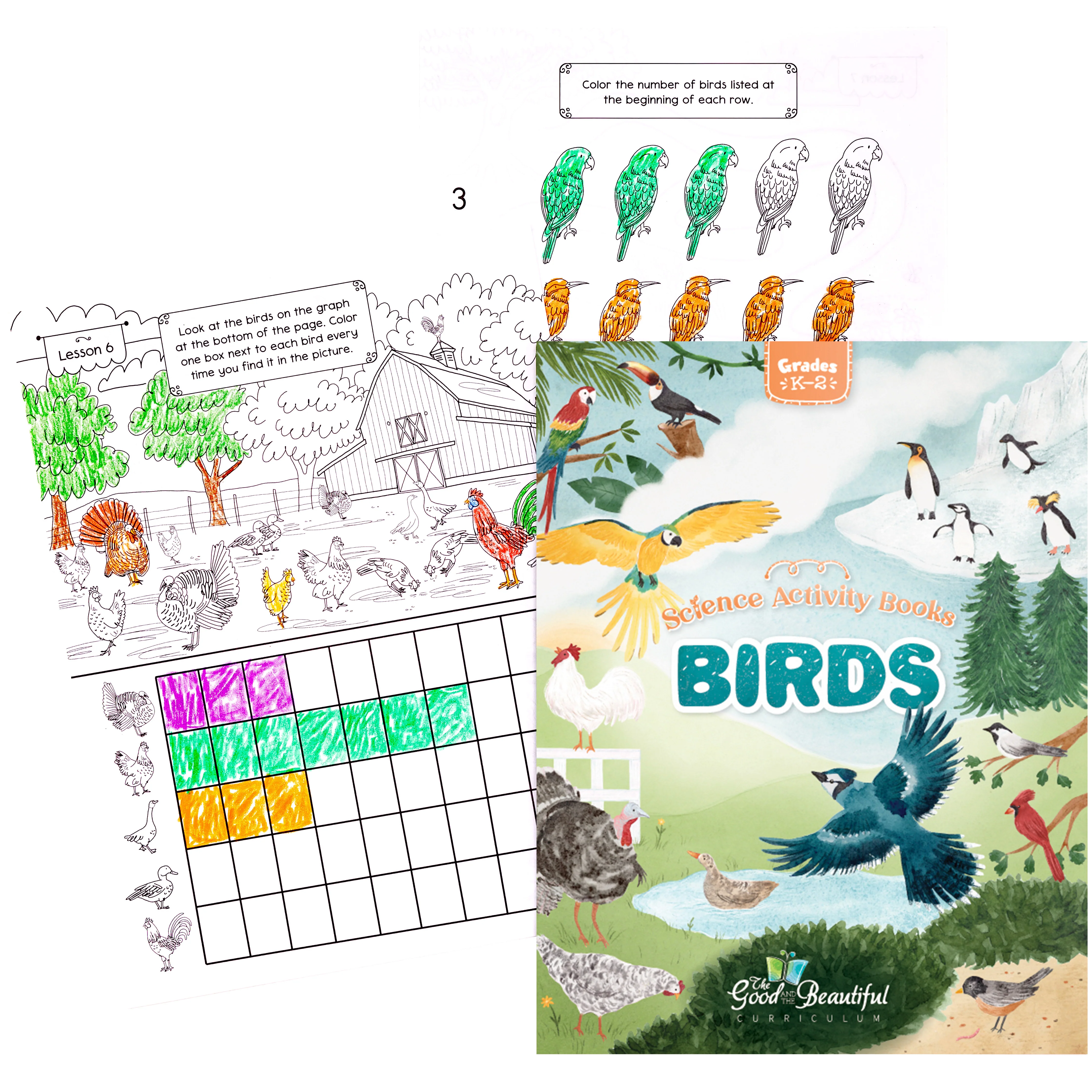 Birds: Science Activity Book - Image 3