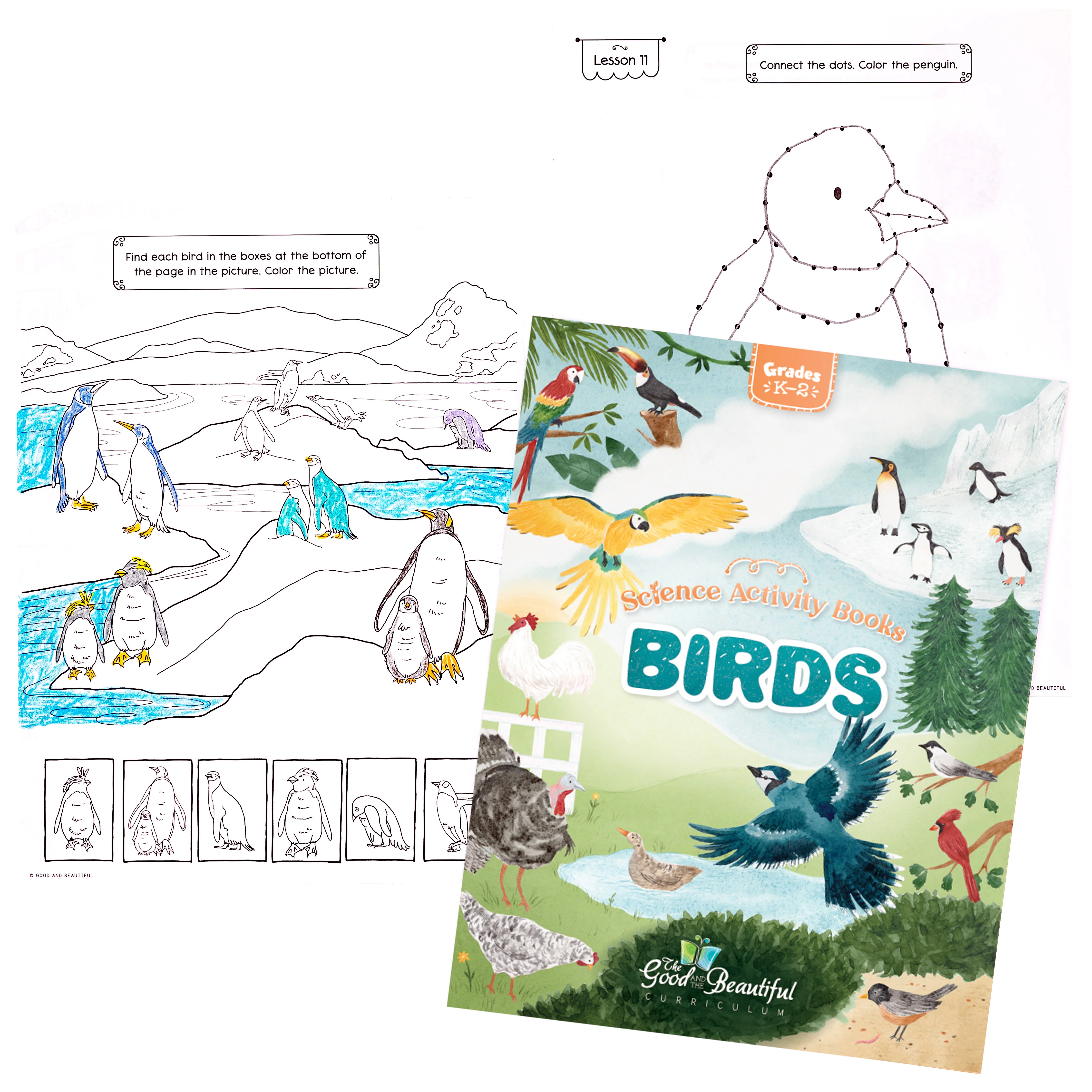 Birds: Science Activity Book - Image 4