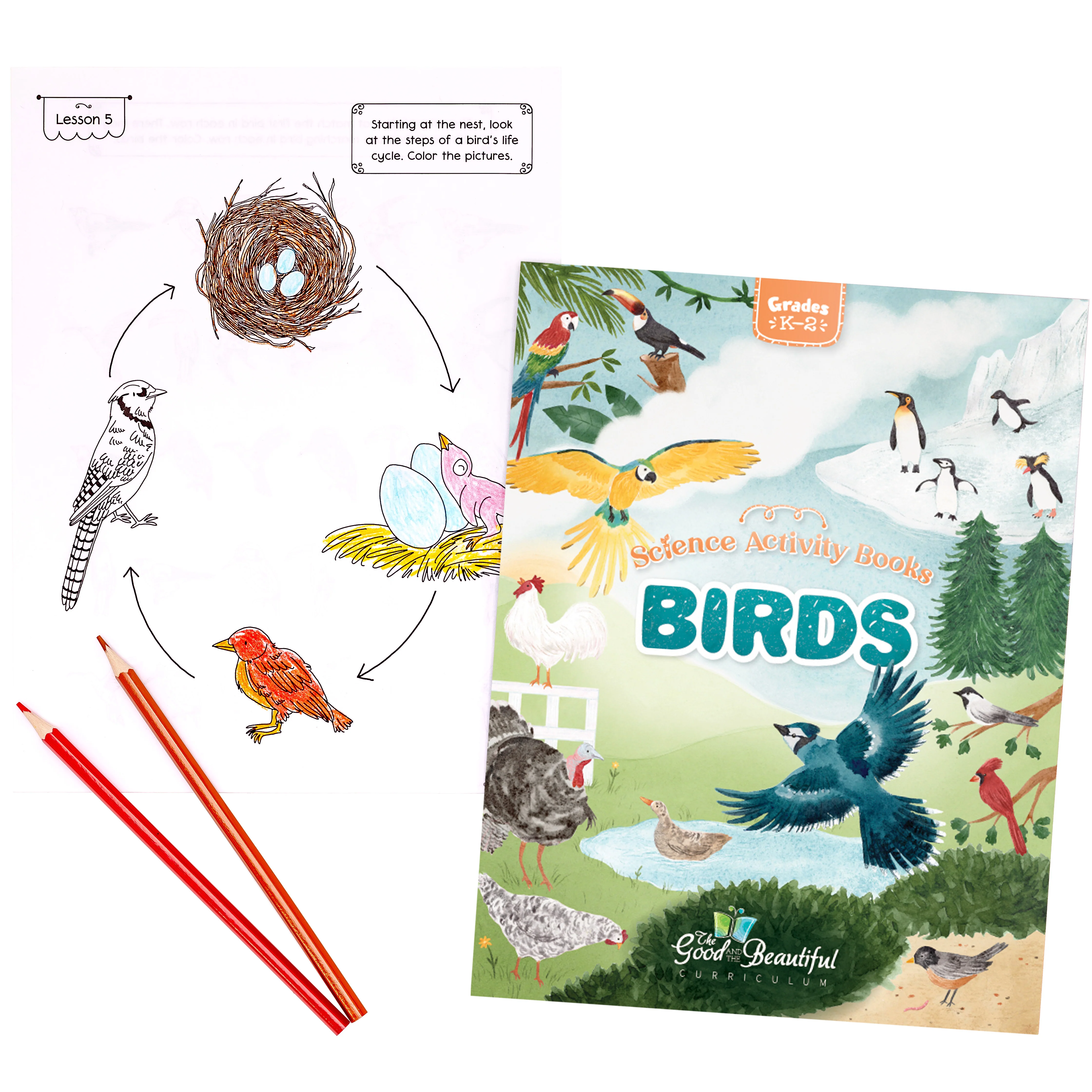 Birds: Science Activity Book - Image 5