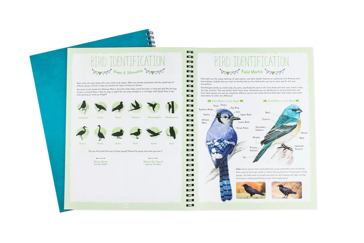 Birdwatching Notebook - Image 4