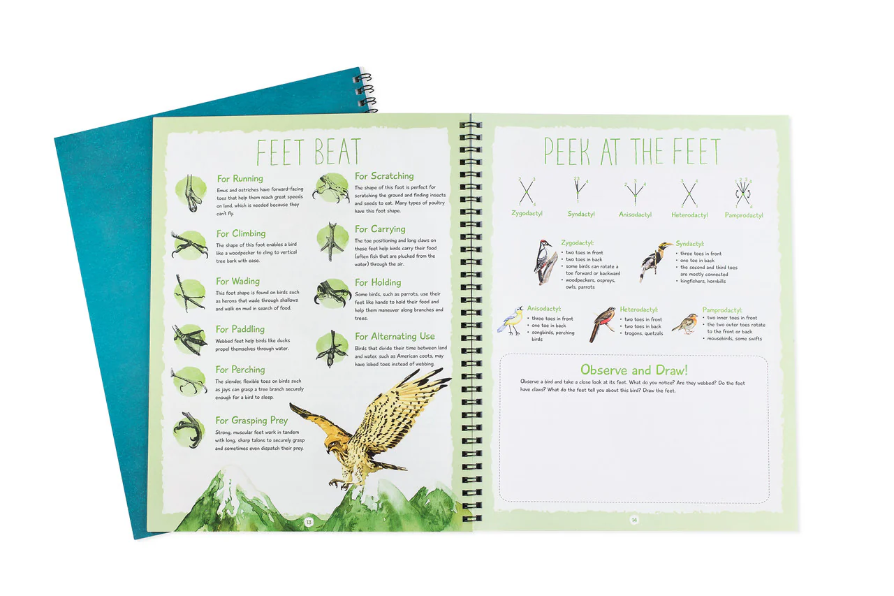 Birdwatching Notebook - Image 6