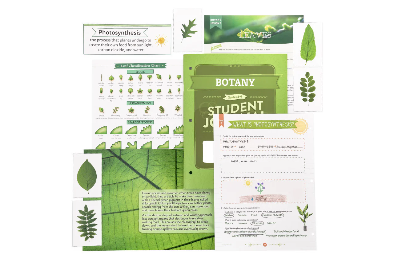 Botany: Course Book: One Per Family - Image 10