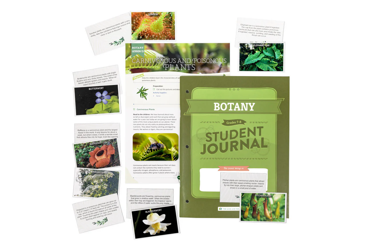 Botany: Course Book: One Per Family - Image 11
