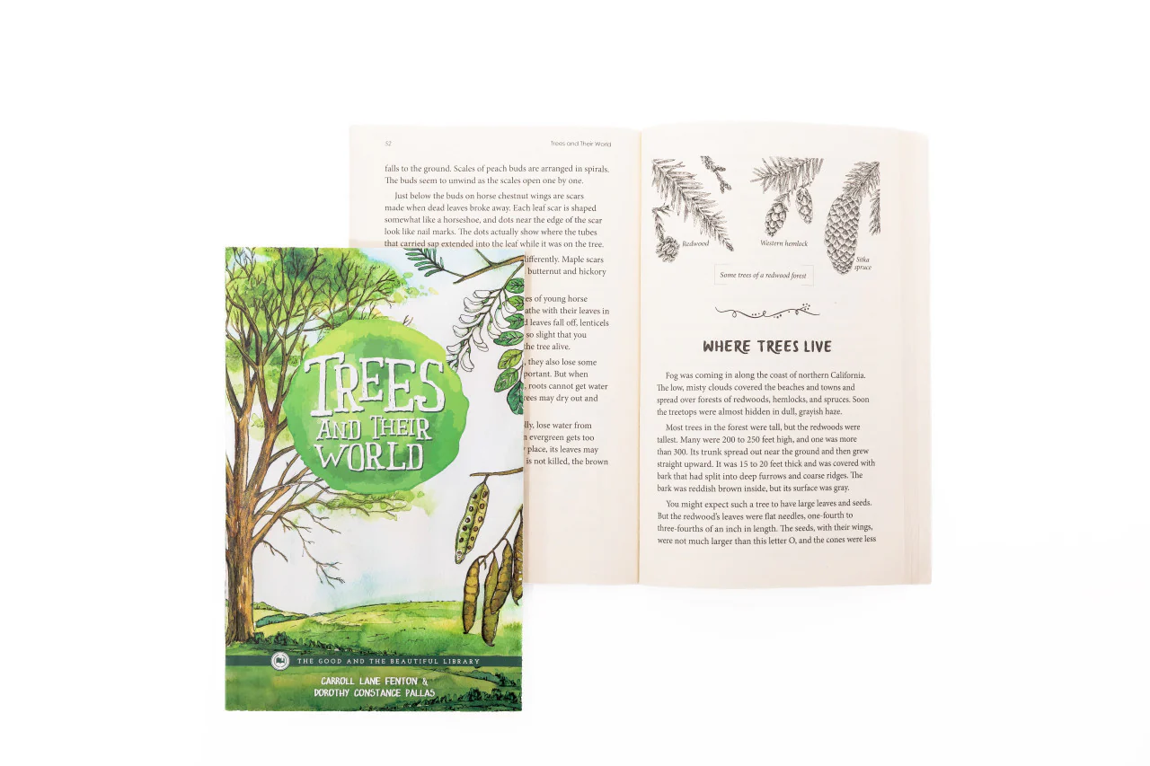 Botany: Course Book: One Per Family - Image 13