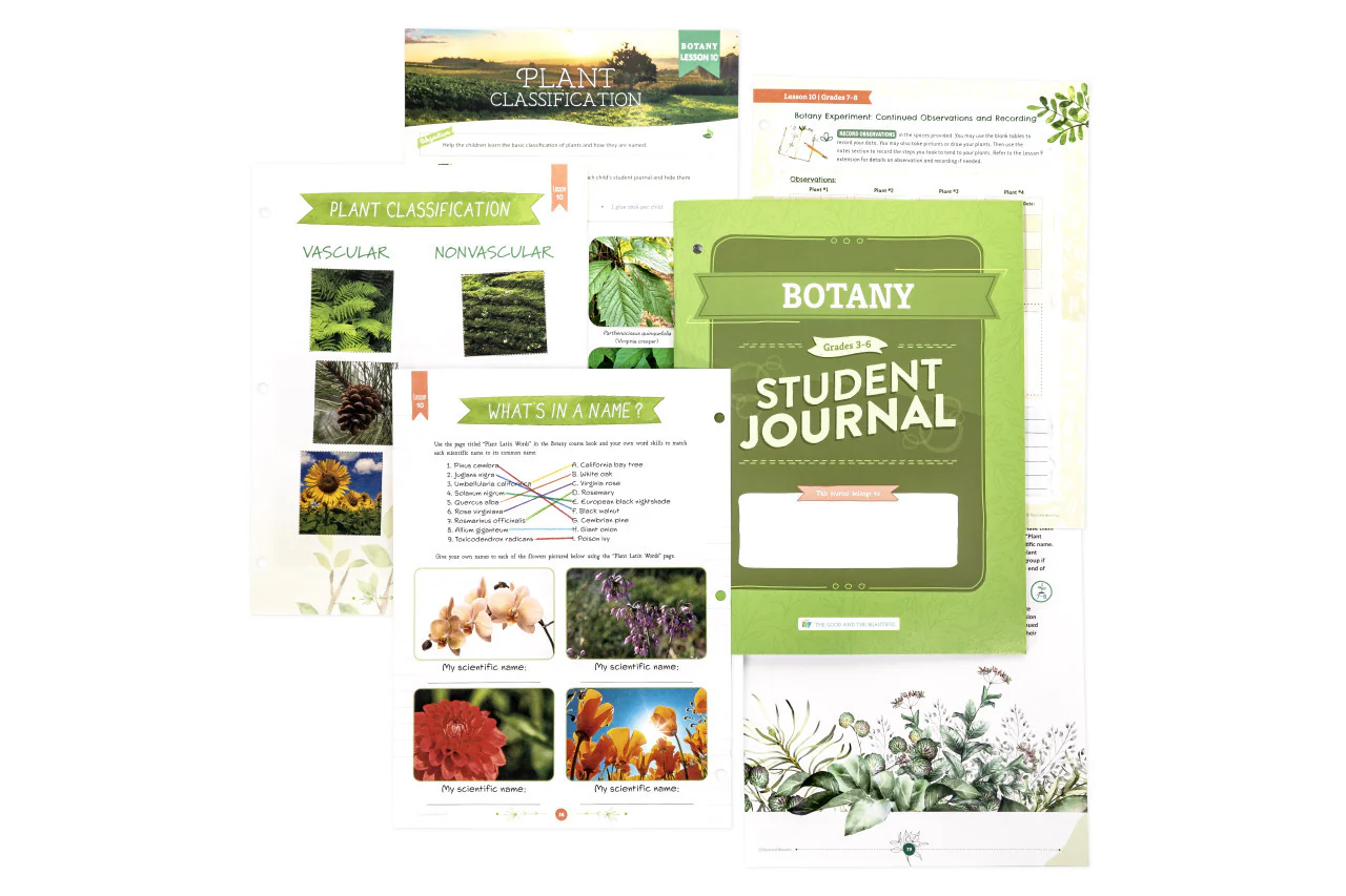 Botany: Course Book: One Per Family - Image 14