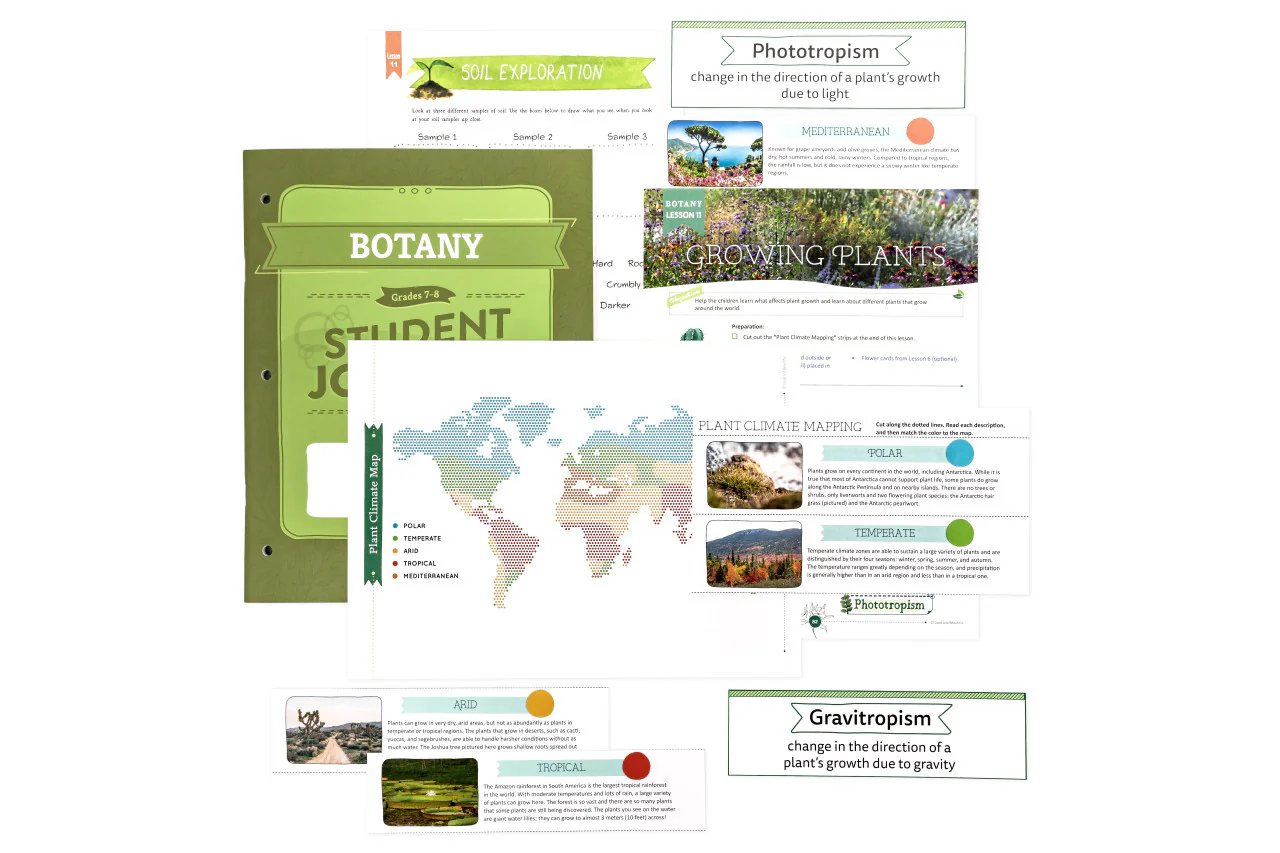 Botany: Course Book: One Per Family - Image 18