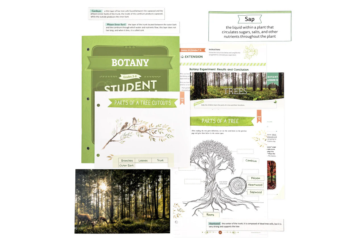 Botany: Course Book: One Per Family - Image 19