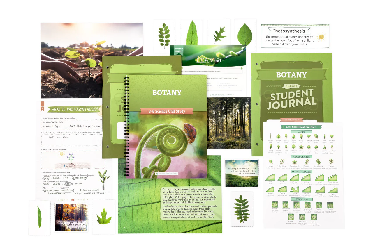 Botany: Course Book: One Per Family - Image 20