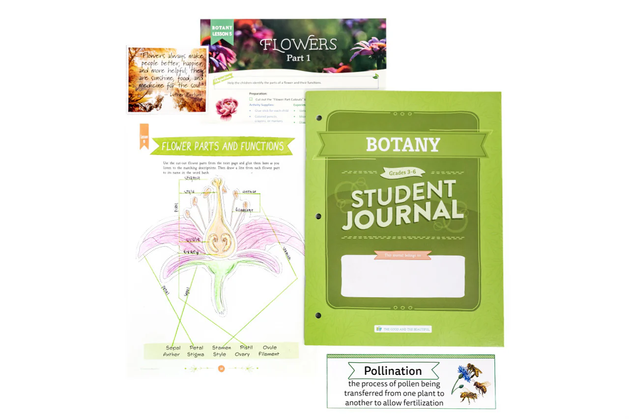 Botany: Course Book: One Per Family - Image 3