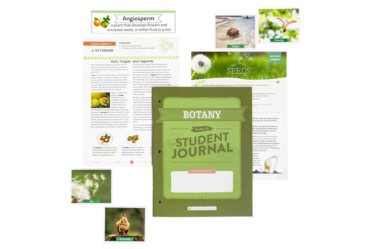 Botany: Course Book: One Per Family - Image 4