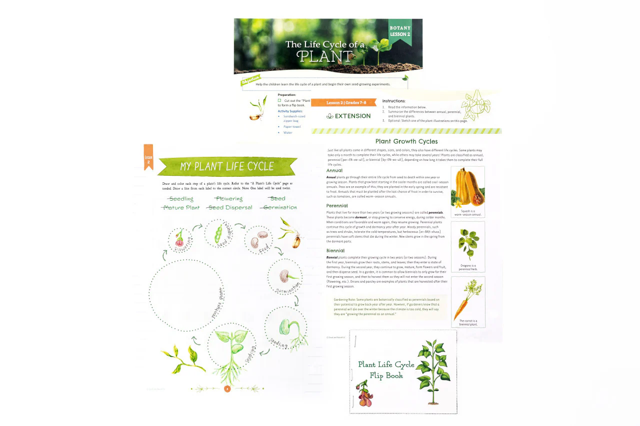 Botany: Course Book: One Per Family - Image 5