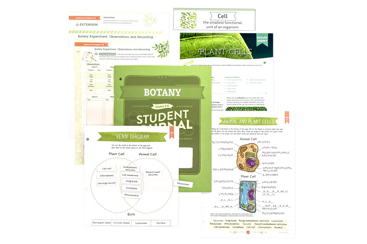 Botany: Course Book: One Per Family - Image 8