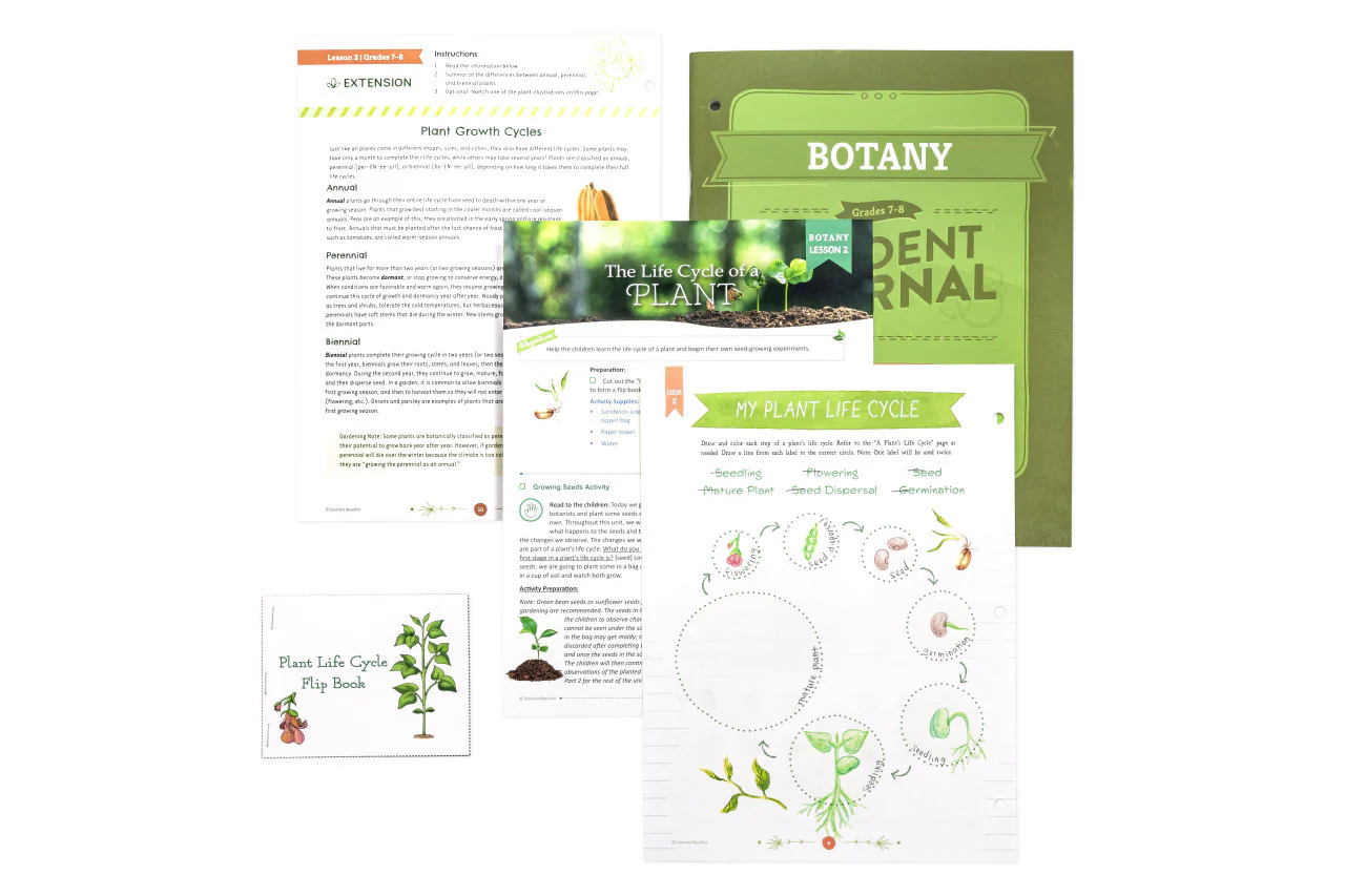 Botany: Course Book: One Per Family - Image 9