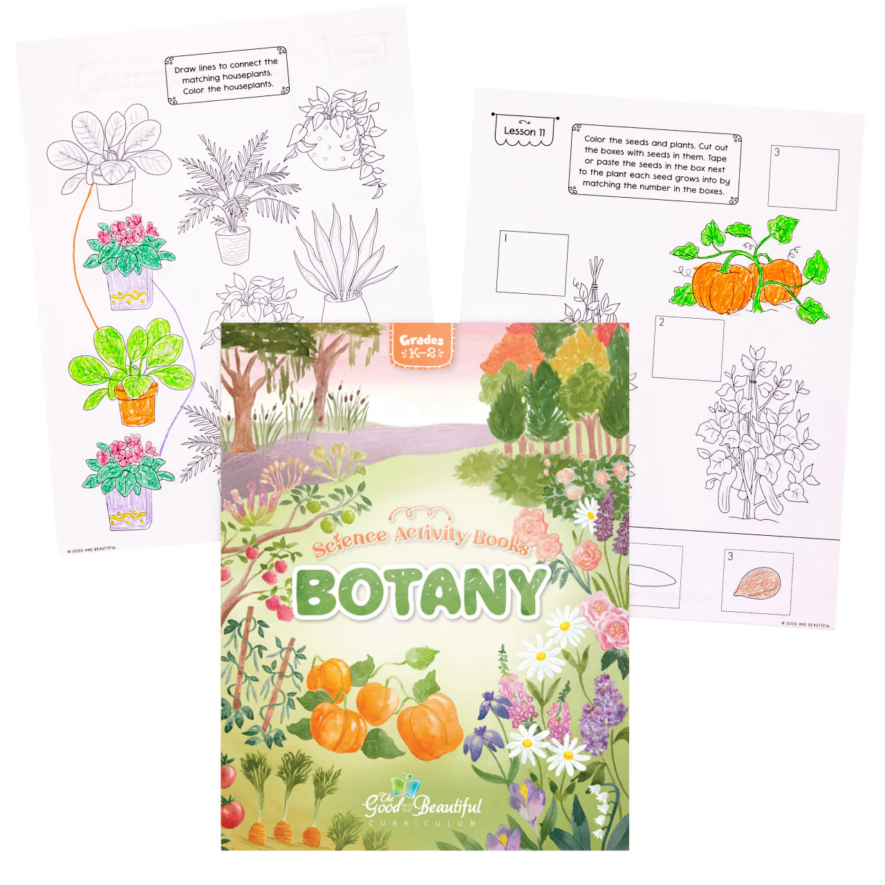 Botany: Science Activity Book - Image 4