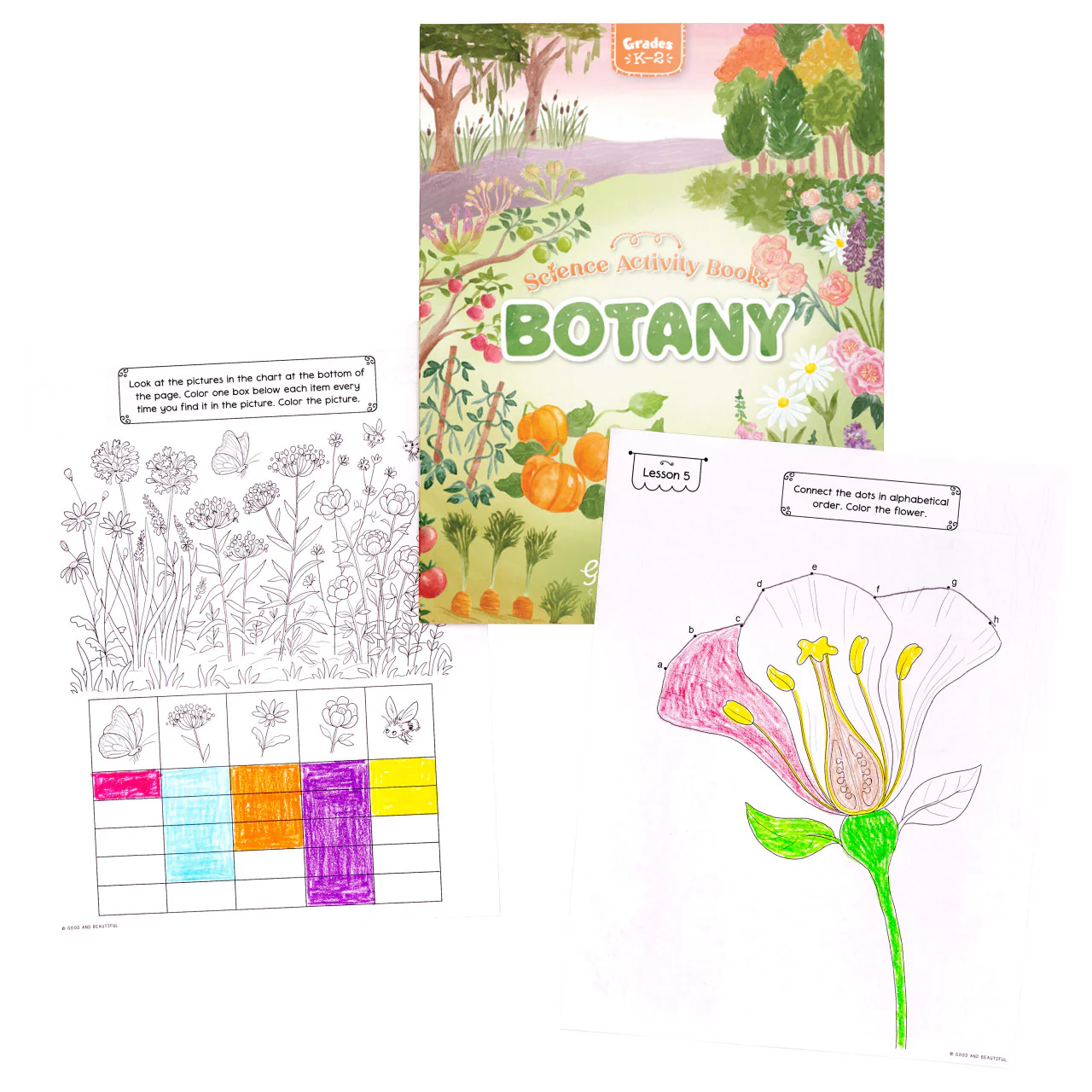 Botany: Science Activity Book - Image 5