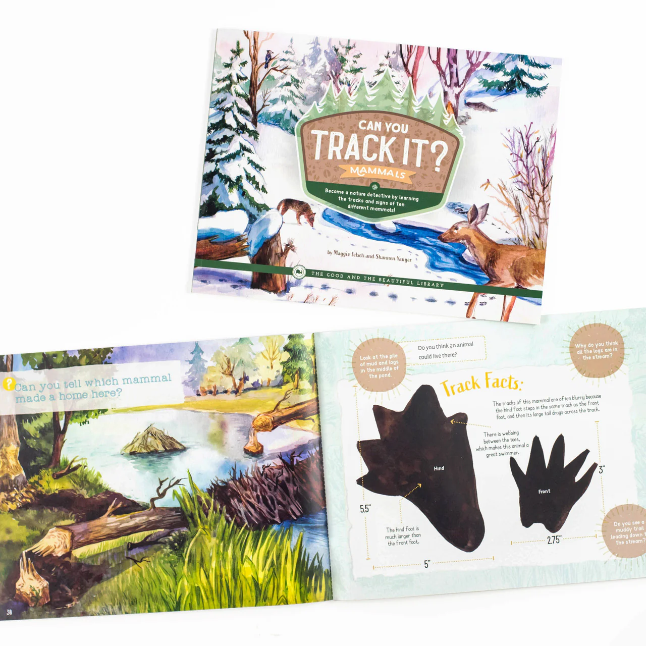 Can You Track It? Mammals: by Maggie Felsch and Shannen Yauger - Image 2