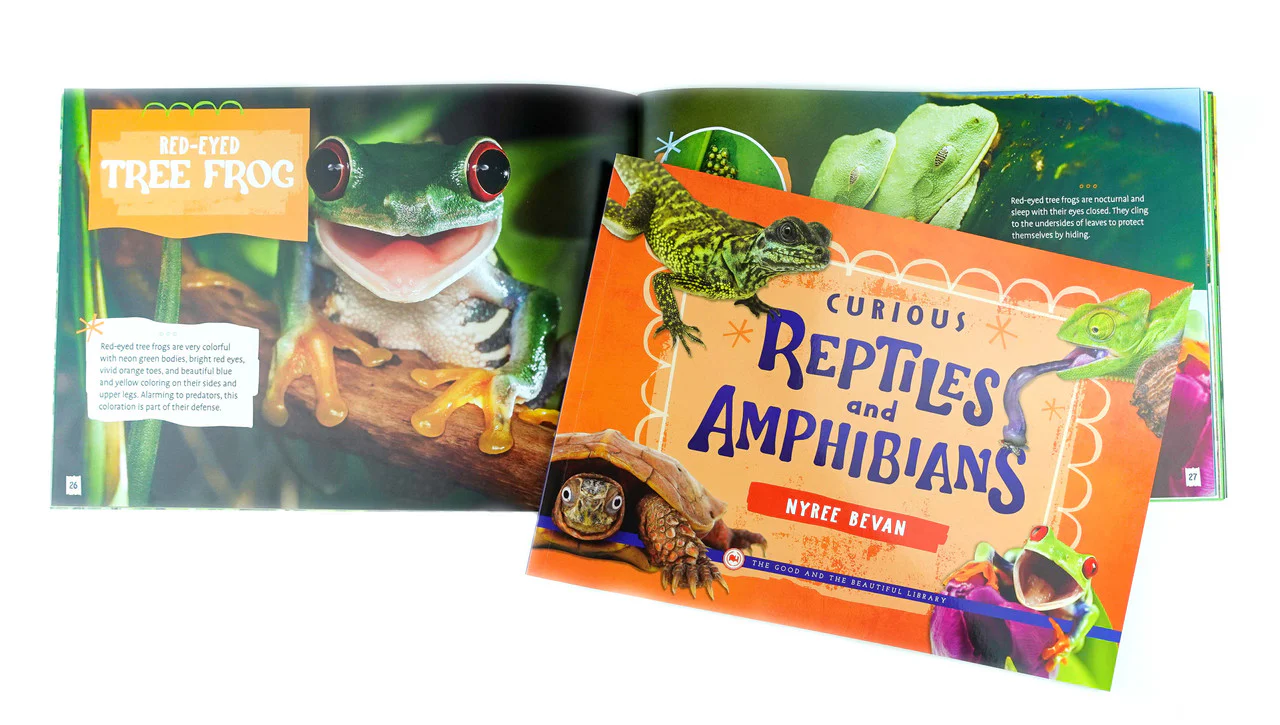 Curious Reptiles and Amphibians: by Nyree Bevan - Image 3