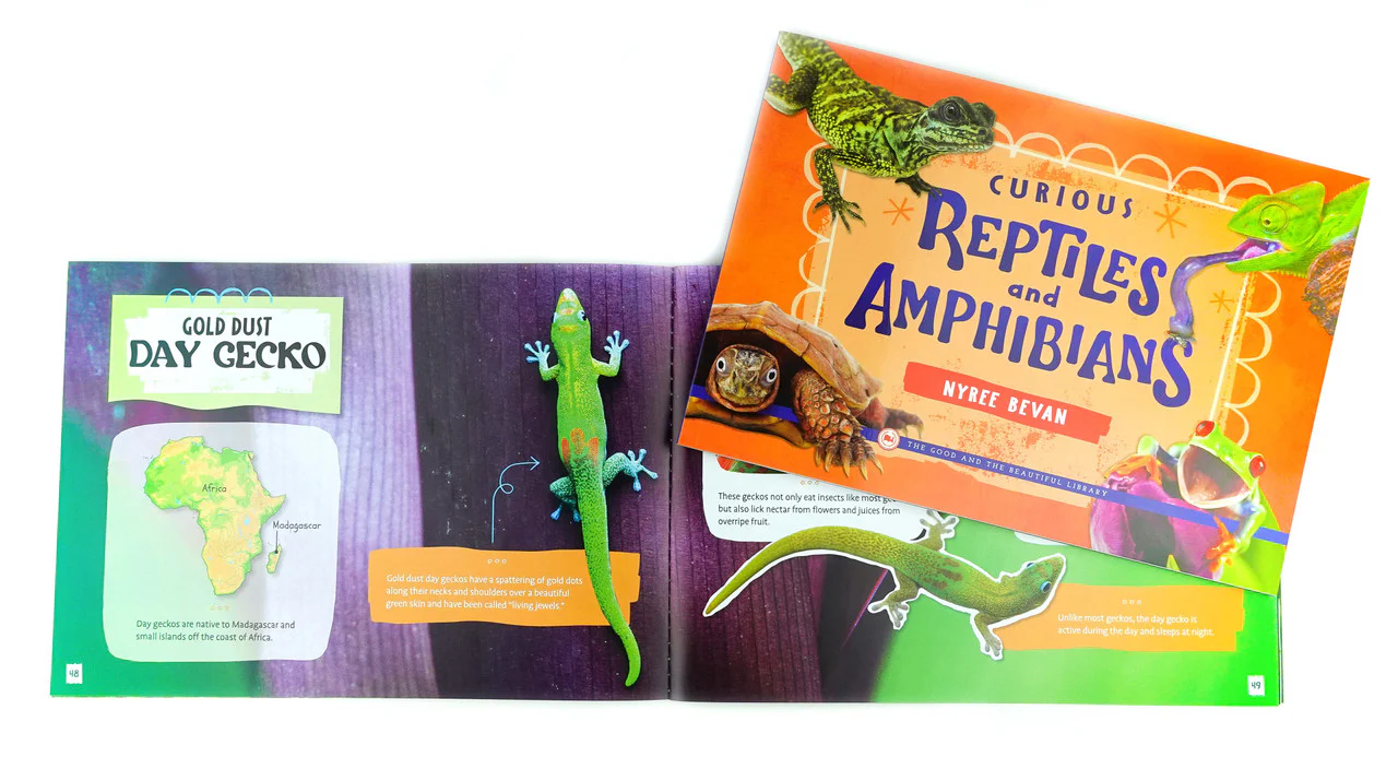 Curious Reptiles and Amphibians: by Nyree Bevan - Image 4