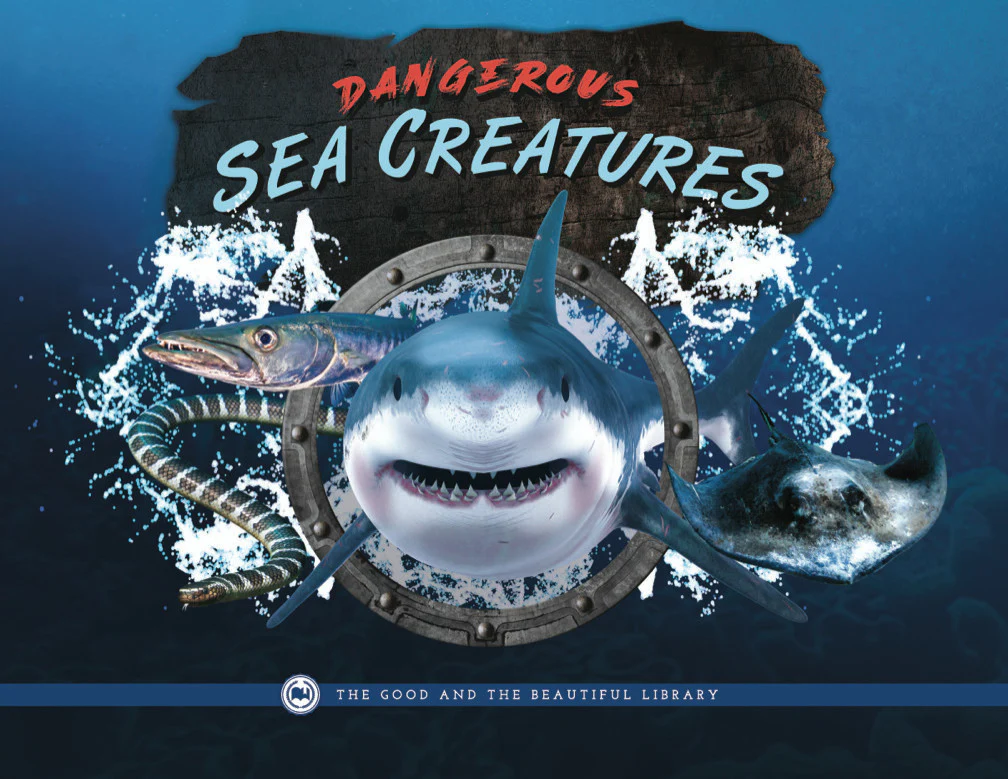 Dangerous Sea Creatures: by The Good and the Beautiful Team - Image 3