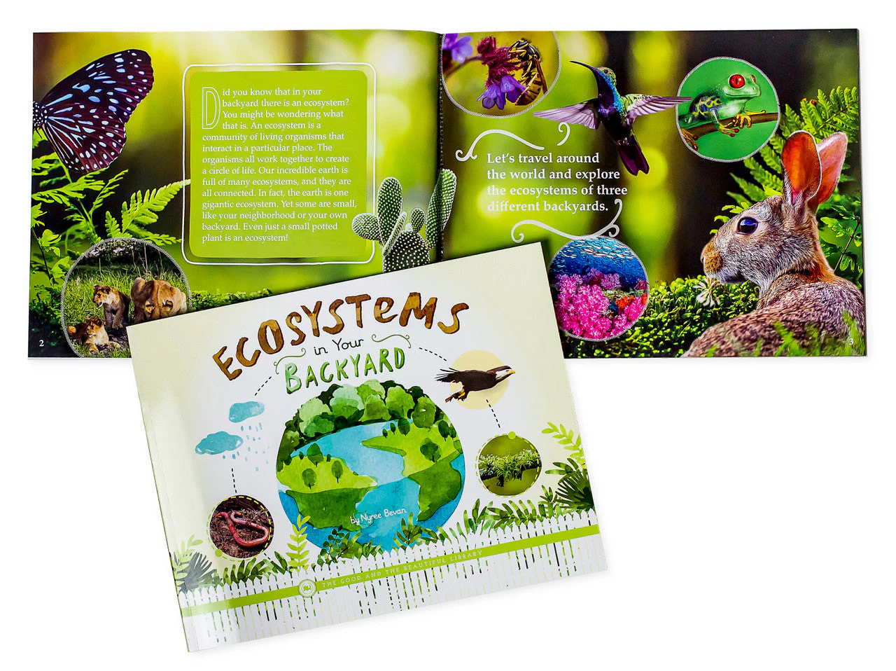 Ecosystems Read-Aloud Book Pack - Image 2