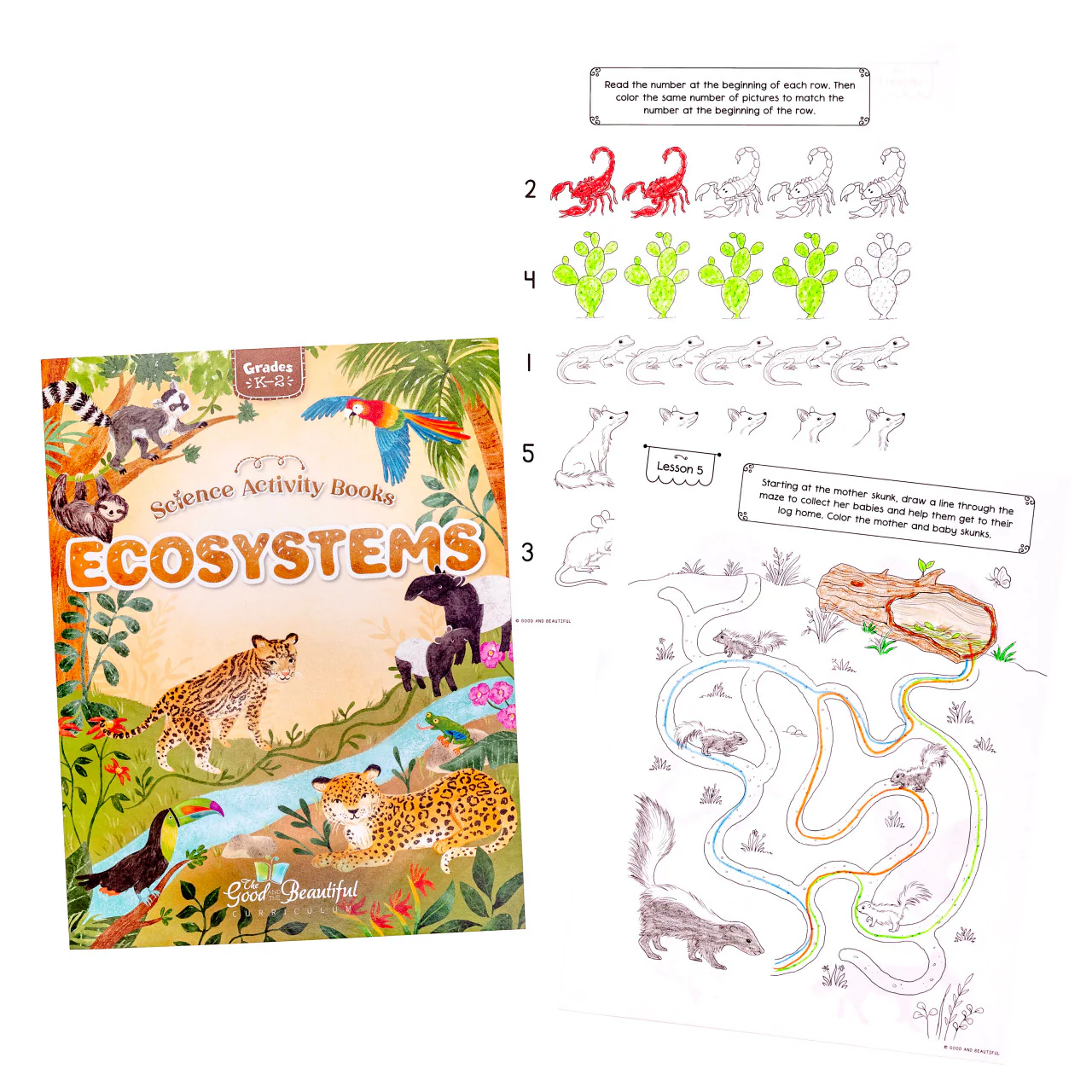 Ecosystems: Science Activity Book - Image 4