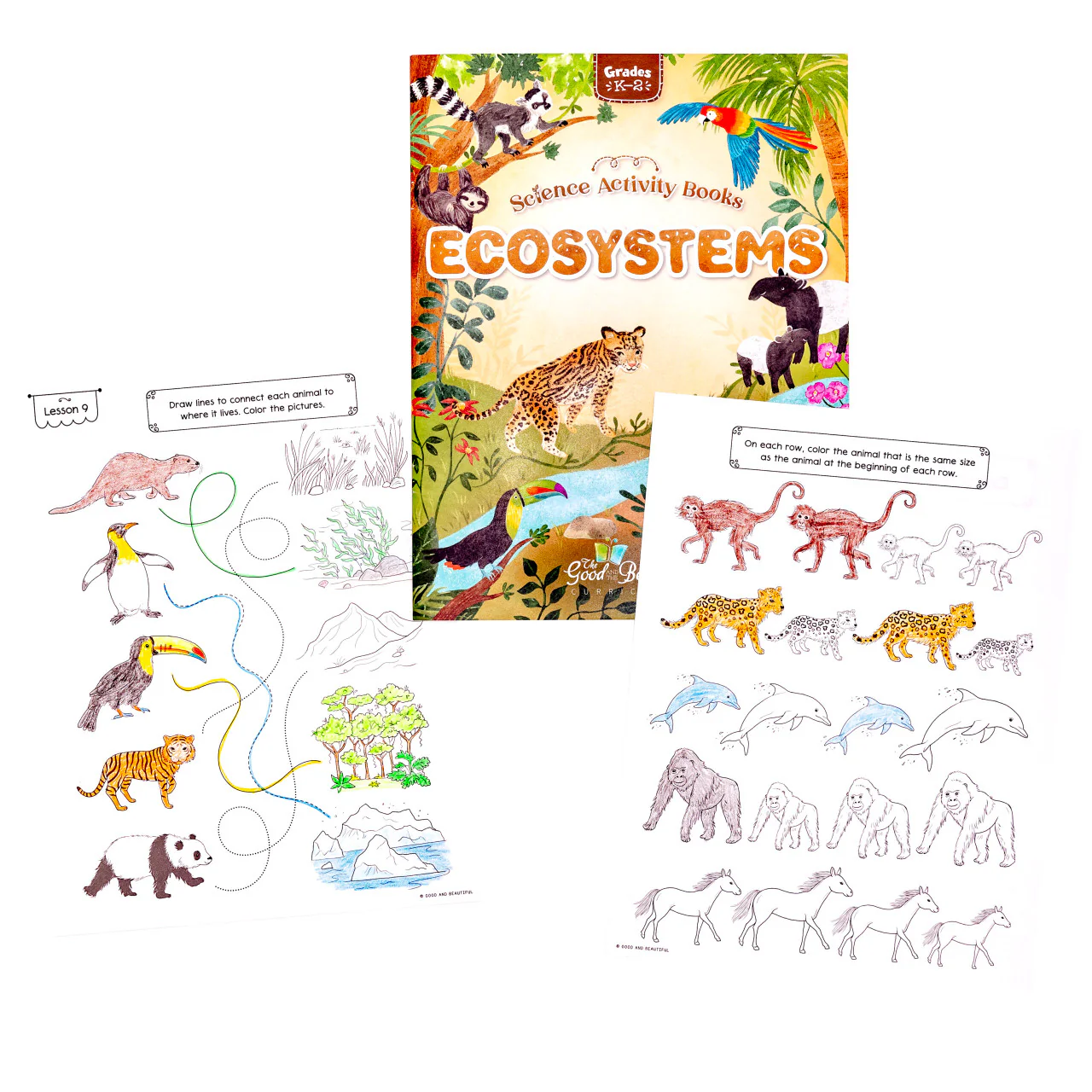 Ecosystems: Science Activity Book - Image 5