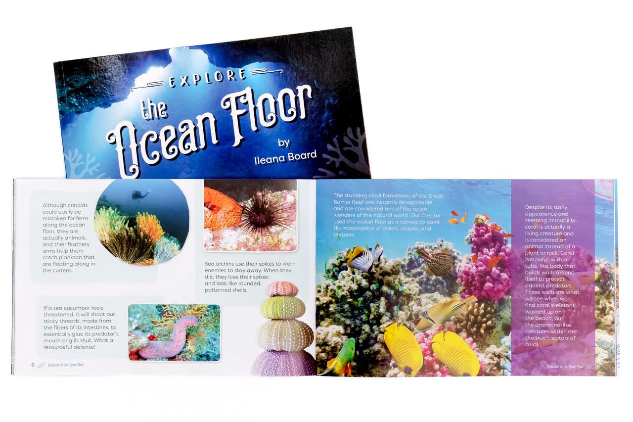 Explore the Ocean Floor: Marine Biology Grades 7-8 Extension - Image 2