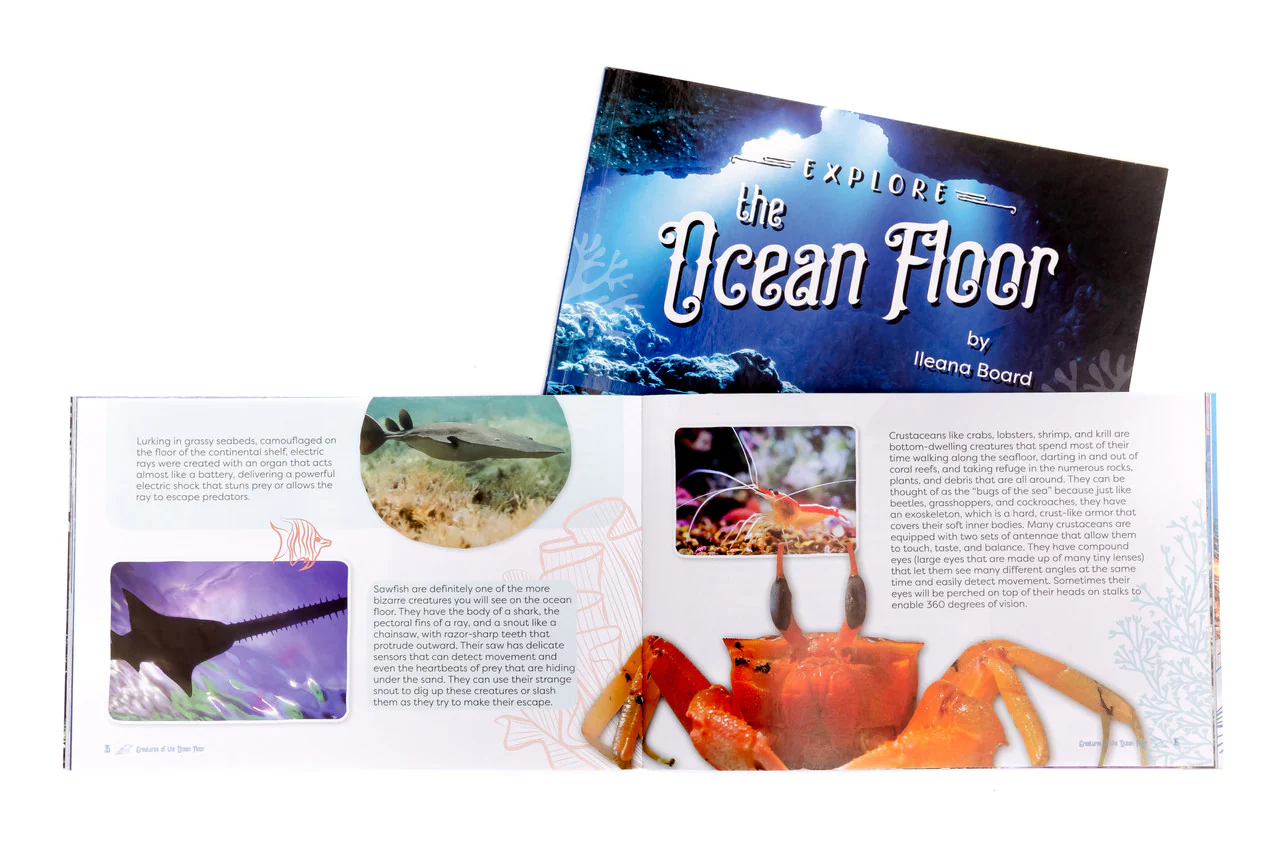 Explore the Ocean Floor: Marine Biology Grades 7-8 Extension - Image 3